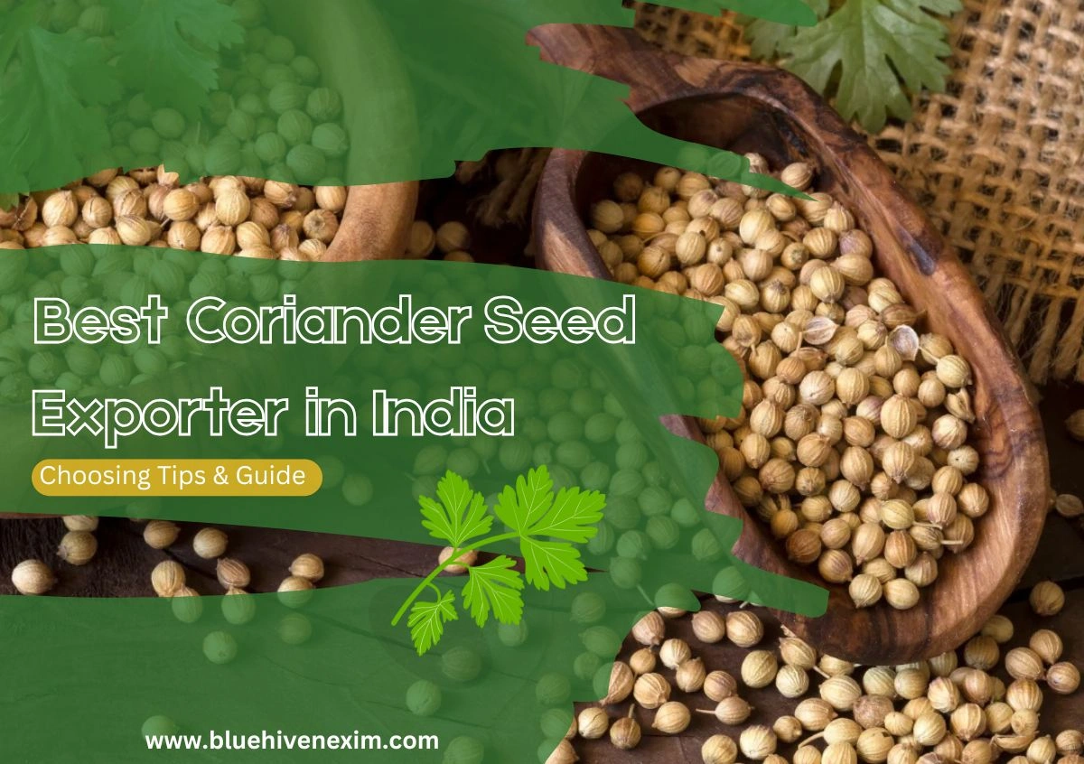 Choosing the Best Coriander Seed Exporter in India - Tips & Guide