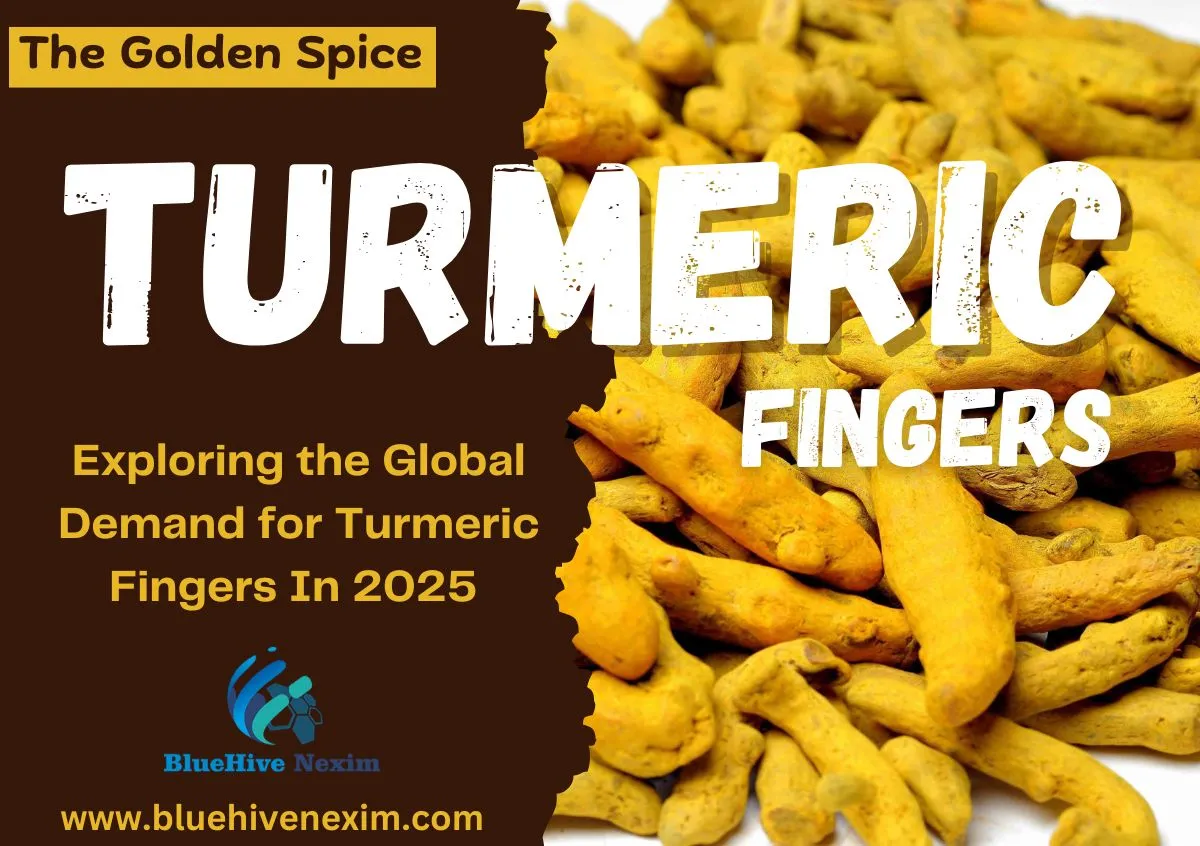 Exploring the Global Demand for Turmeric Fingers In 2025