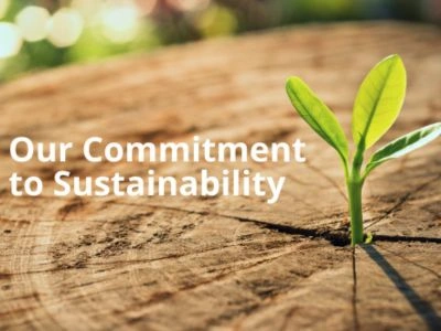 Bluehive Nexim’s Commitment to Sustainability