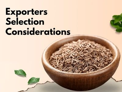 Cumin Seeds Exporters In India: Selection Considerations
