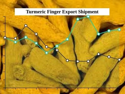Demand for Indian turmeric fingers globally