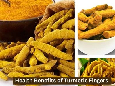 Health Benefits of Turmeric Fingers
