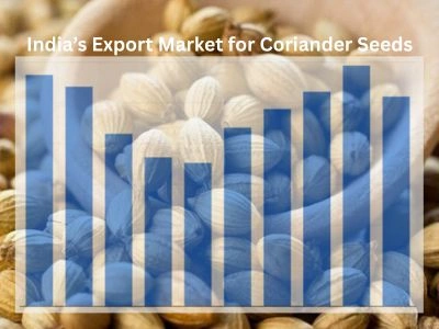 India’s Export Market for Coriander Seeds