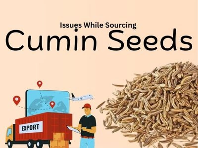 Typical Issues Businesses Encounter While Sourcing Cumin Seeds