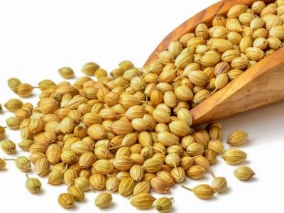 Understanding the Importance of Exporter Selection